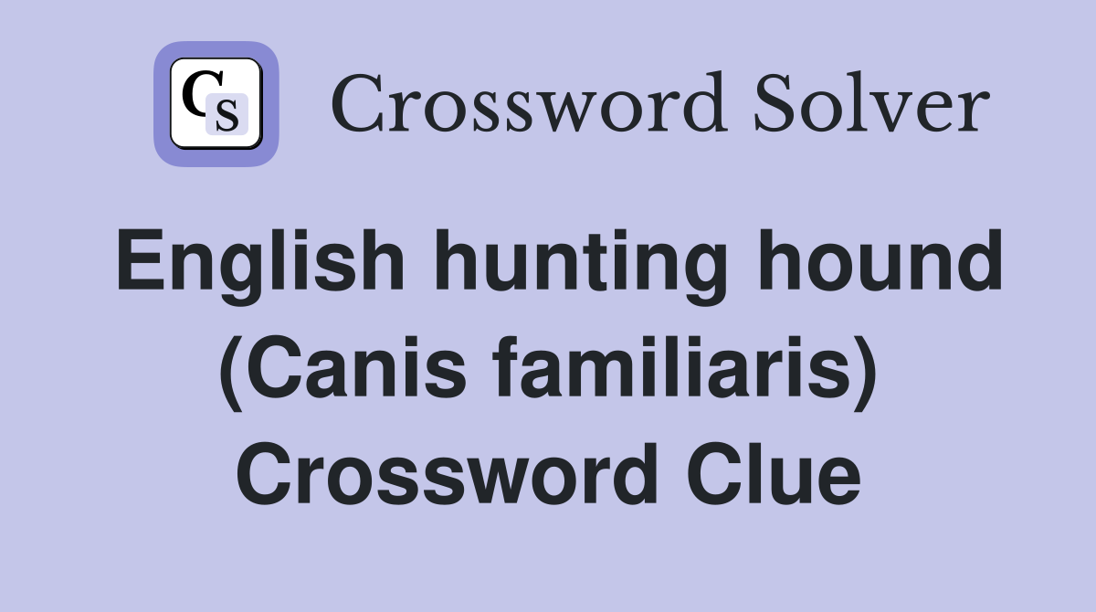 English hunting hound (Canis familiaris) Crossword Clue