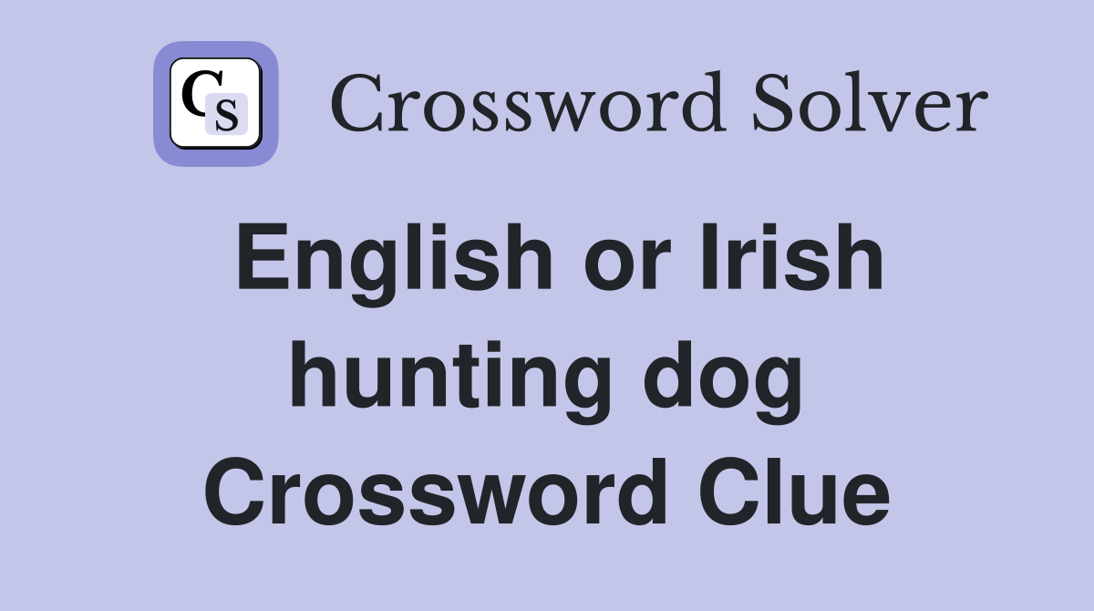 English or Irish hunting dog Crossword Clue