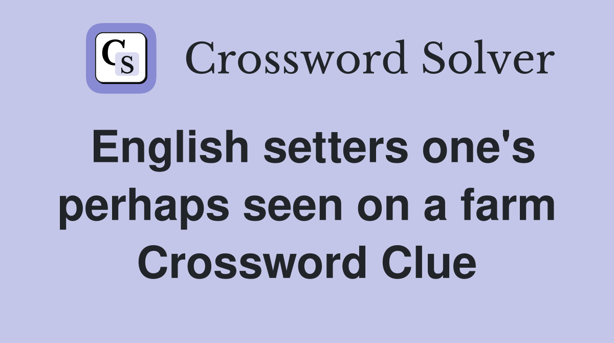 English setters one's perhaps seen on a farm Crossword Clue
