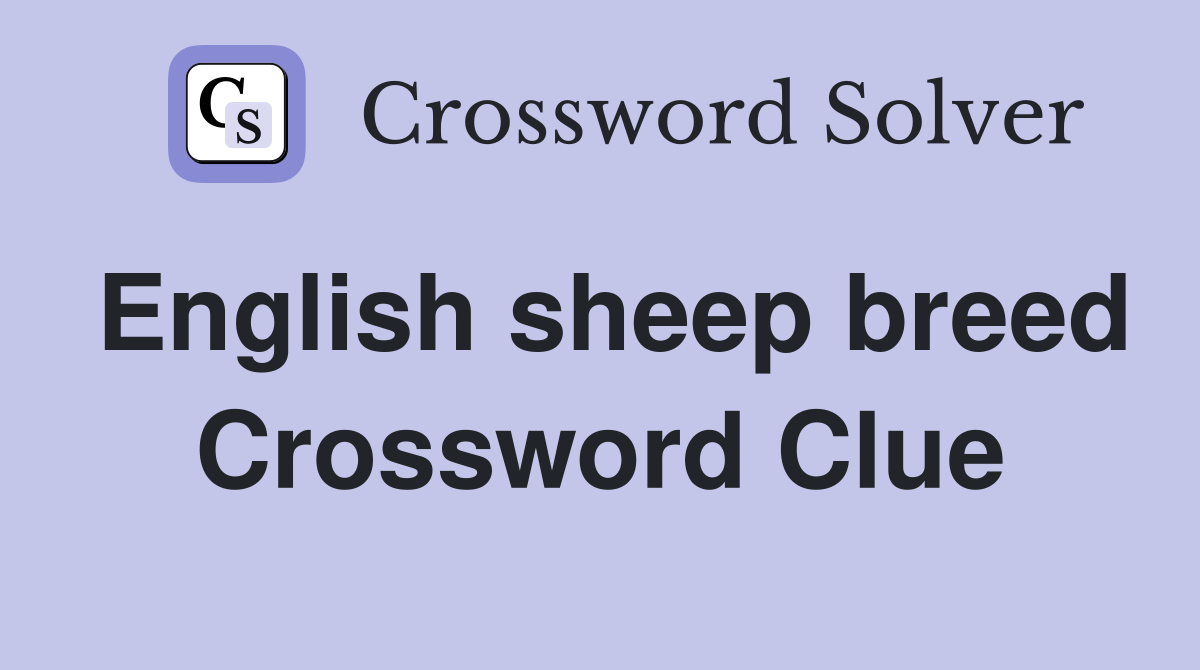 English sheep breed Crossword Clue