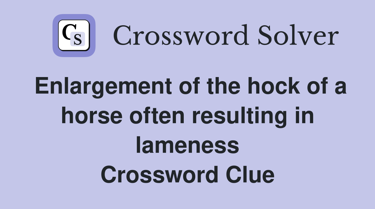 Enlargement of the hock of a horse often resulting in lameness Crossword Clue