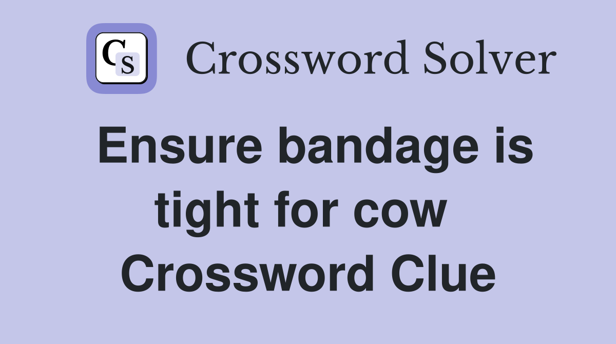 Ensure bandage is tight for cow  Crossword Clue