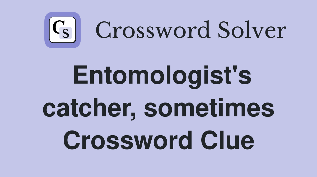 Entomologist's catcher, sometimes Crossword Clue