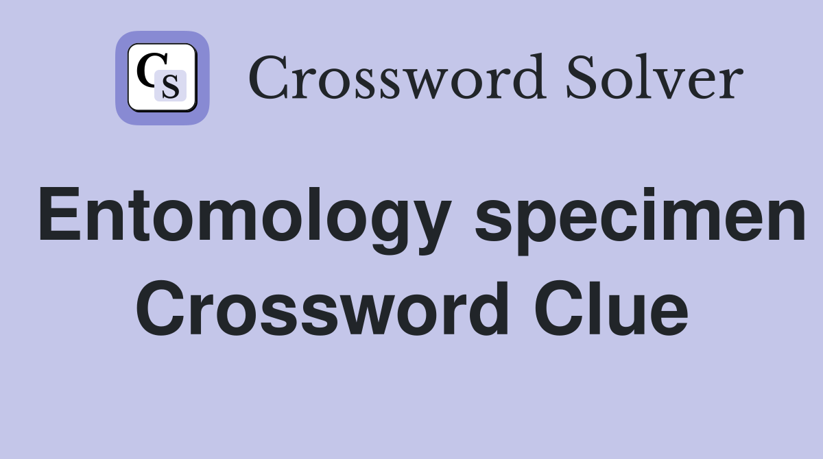 Entomology specimen Crossword Clue