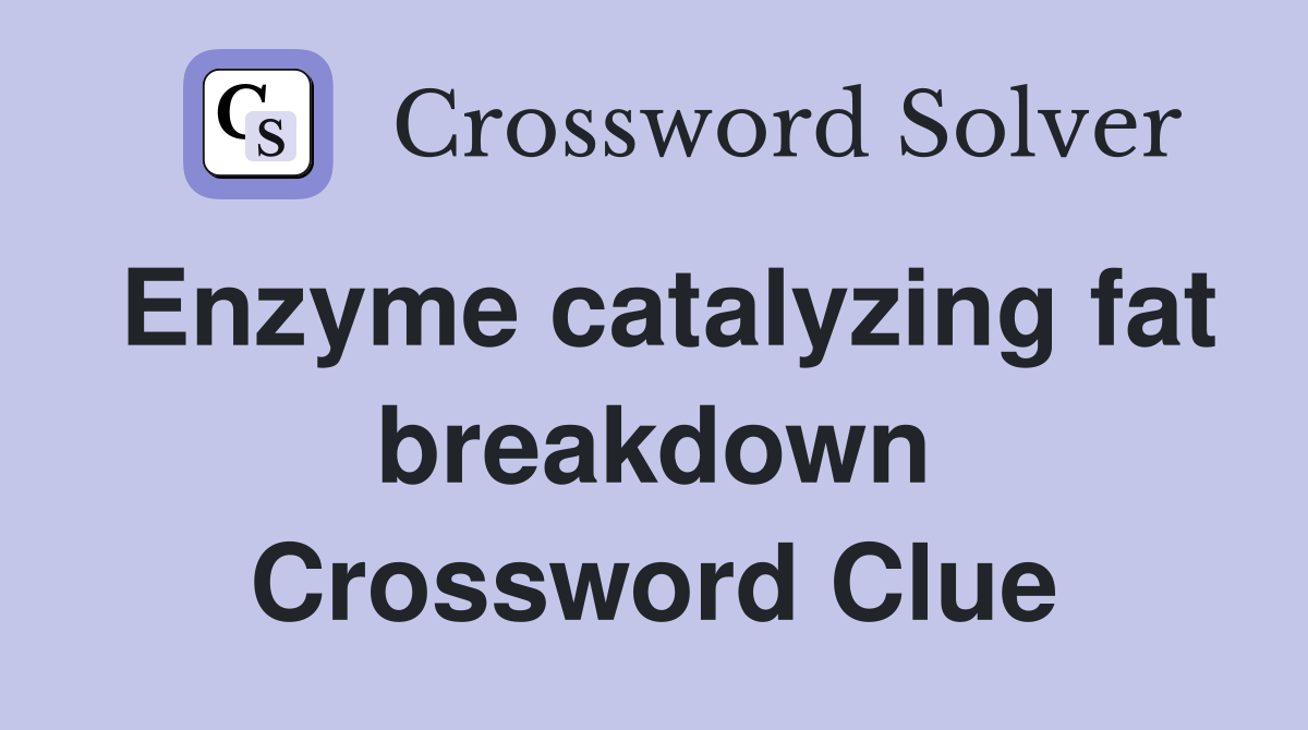 Enzyme catalyzing fat breakdown Crossword Clue