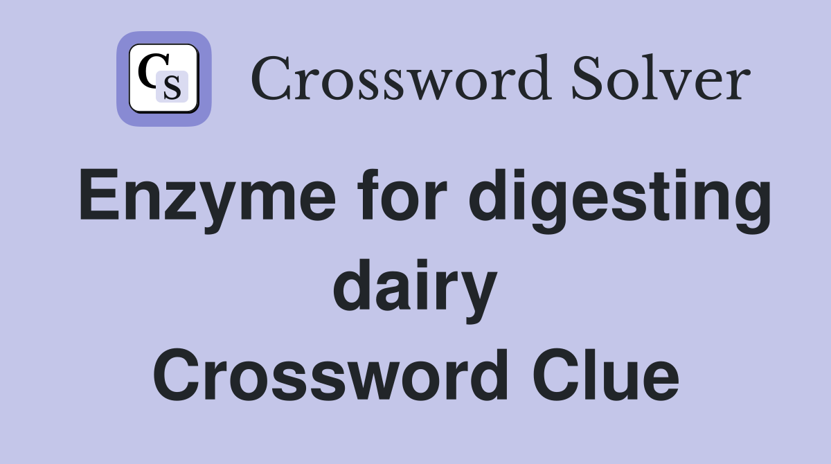 Enzyme for digesting dairy Crossword Clue