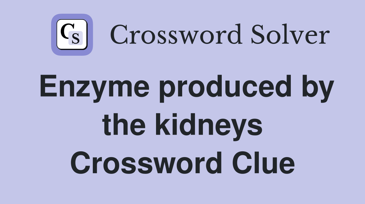 Enzyme produced by the kidneys Crossword Clue