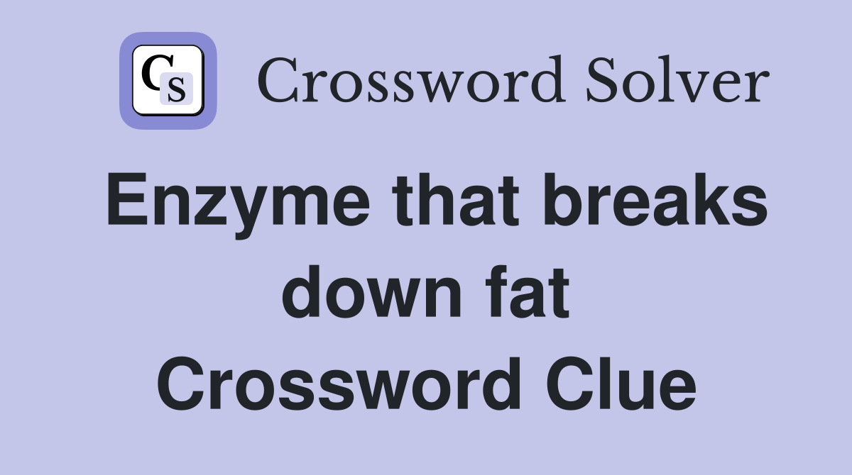 Enzyme that breaks down fat Crossword Clue