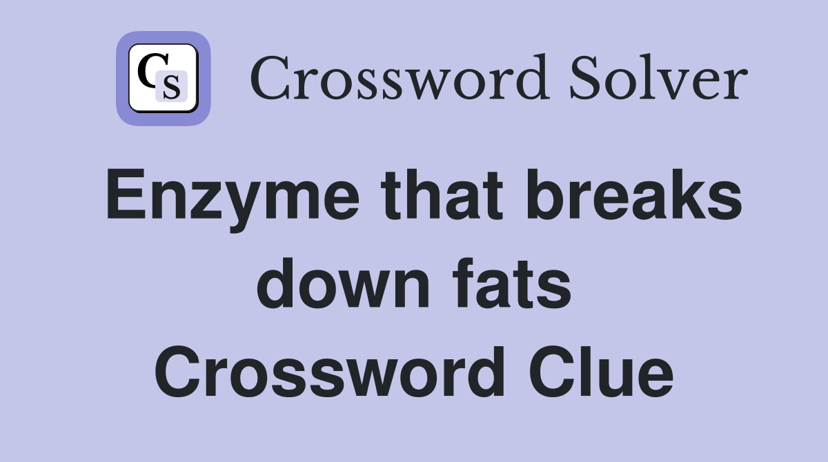 Enzyme that breaks down fats Crossword Clue