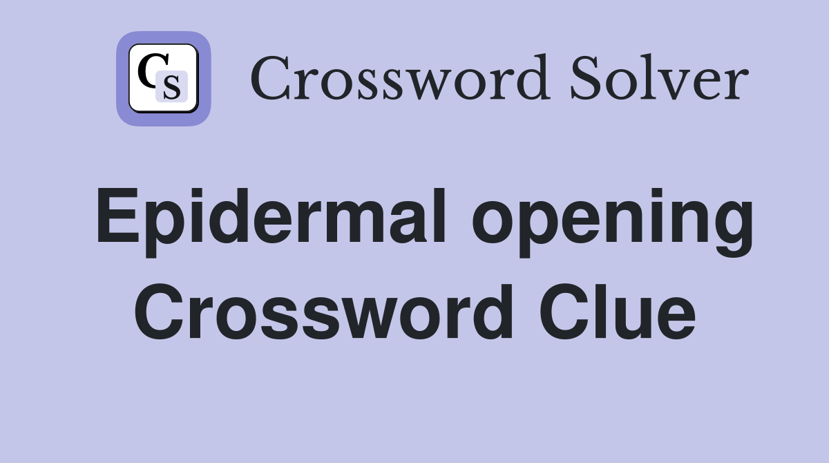 Epidermal opening Crossword Clue