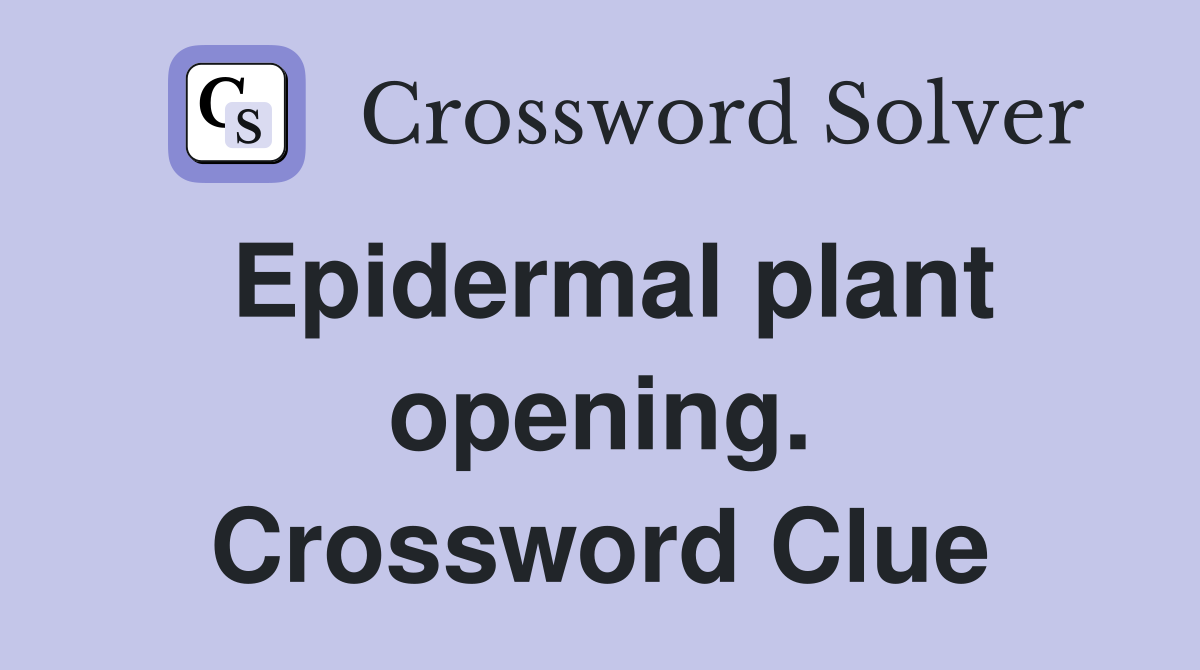 Epidermal plant opening. Crossword Clue