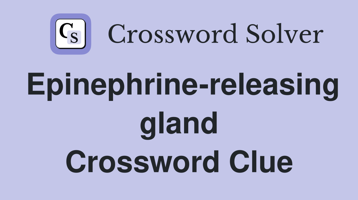 Epinephrine-releasing gland Crossword Clue