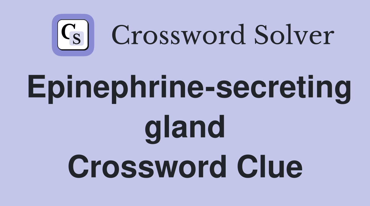 Epinephrine-secreting gland Crossword Clue