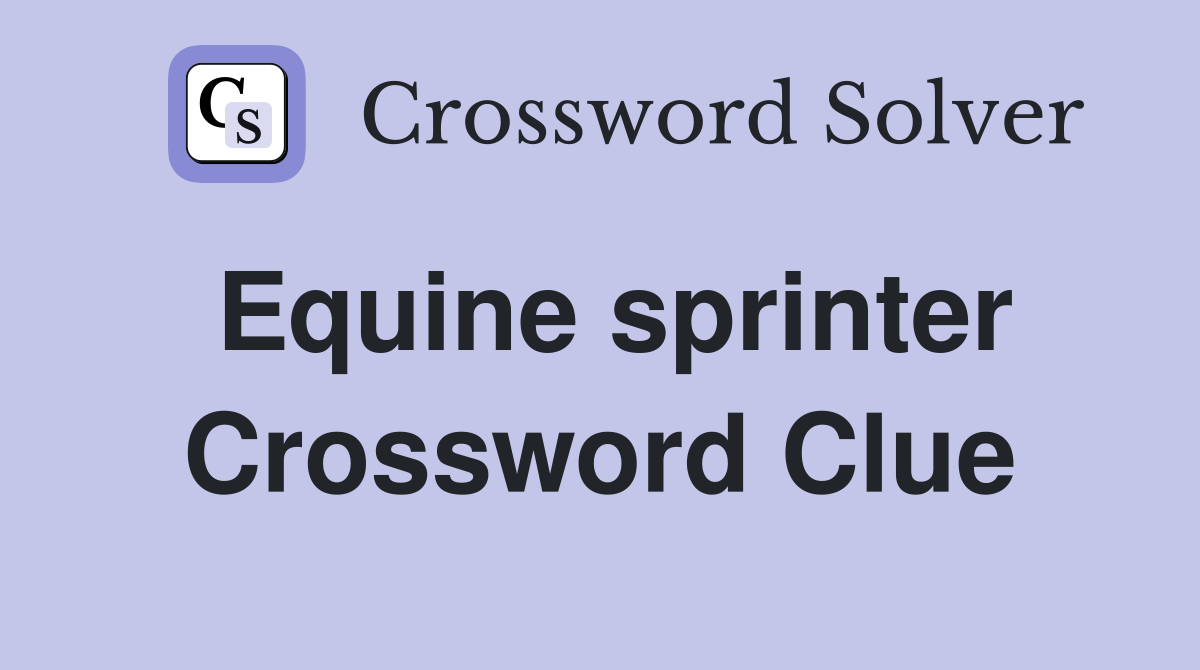 Equine sprinter Crossword Clue