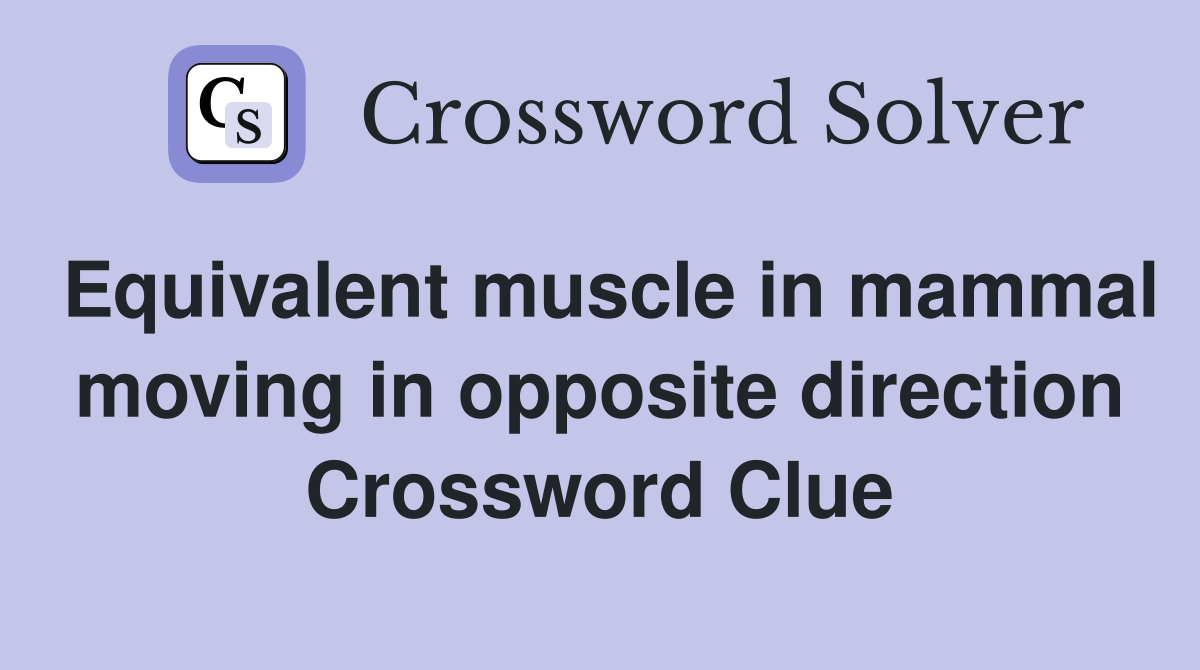 Equivalent muscle in mammal moving in opposite direction Crossword Clue