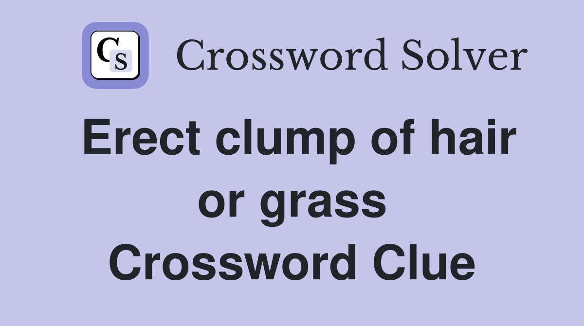 Erect clump of hair or grass Crossword Clue