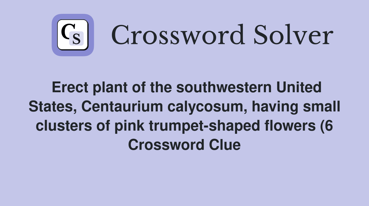 Erect plant of the southwestern United States Centaurium calycosum Erect plant of the southwestern United States Centaurium calycosum