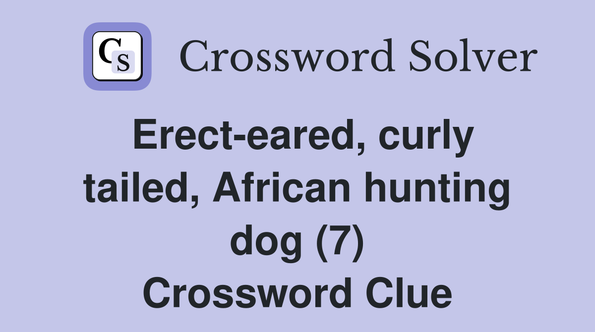 Erect-eared, curly tailed, African hunting dog (7) Crossword Clue