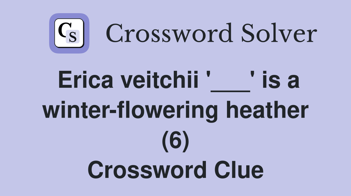 Erica veitchii '___' is a winter-flowering heather (6) Crossword Clue