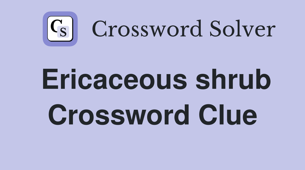 Ericaceous shrub Crossword Clue