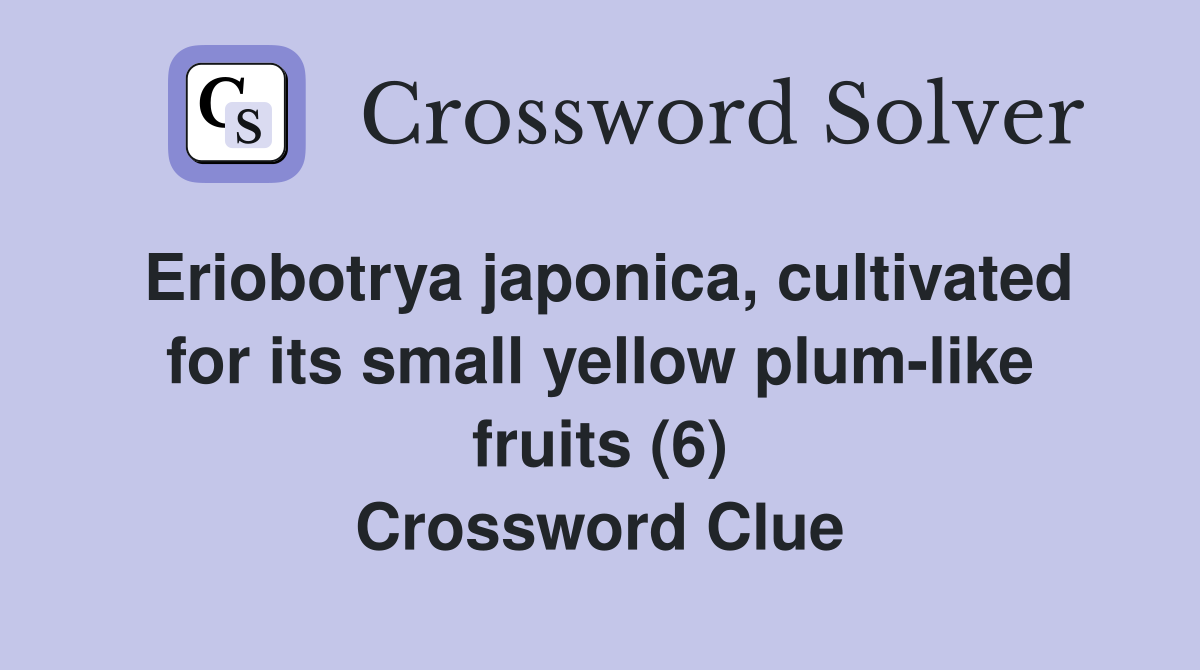 Eriobotrya japonica, cultivated for its small yellow plum-like fruits (6) Crossword Clue