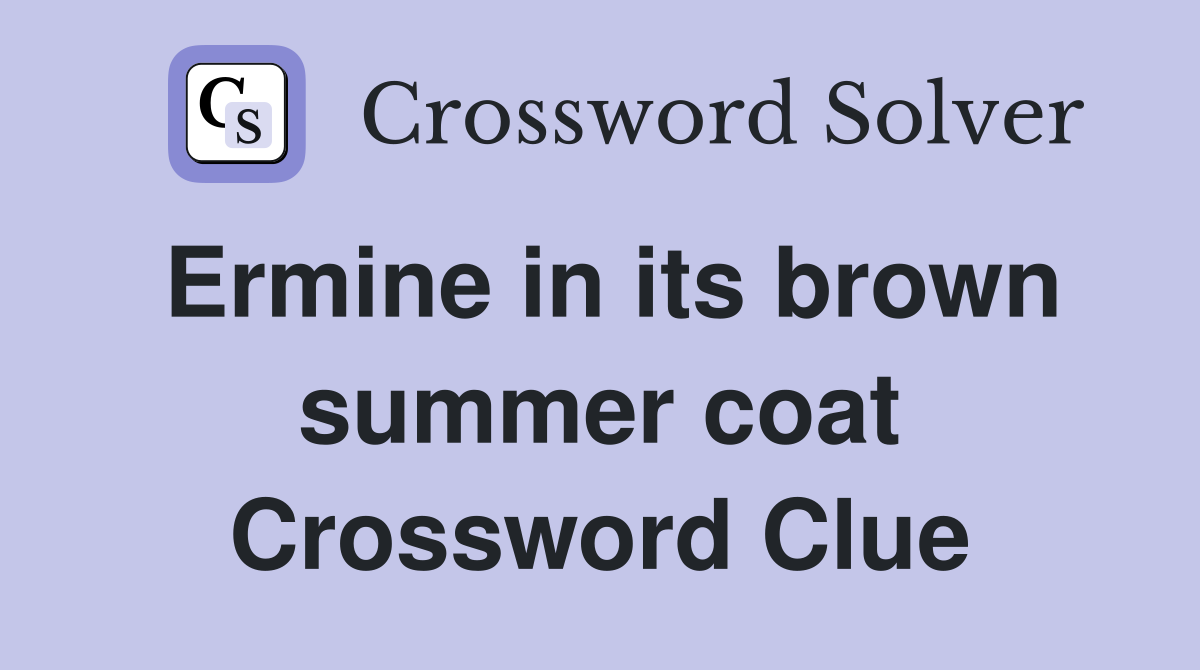 Ermine in its brown summer coat Crossword Clue