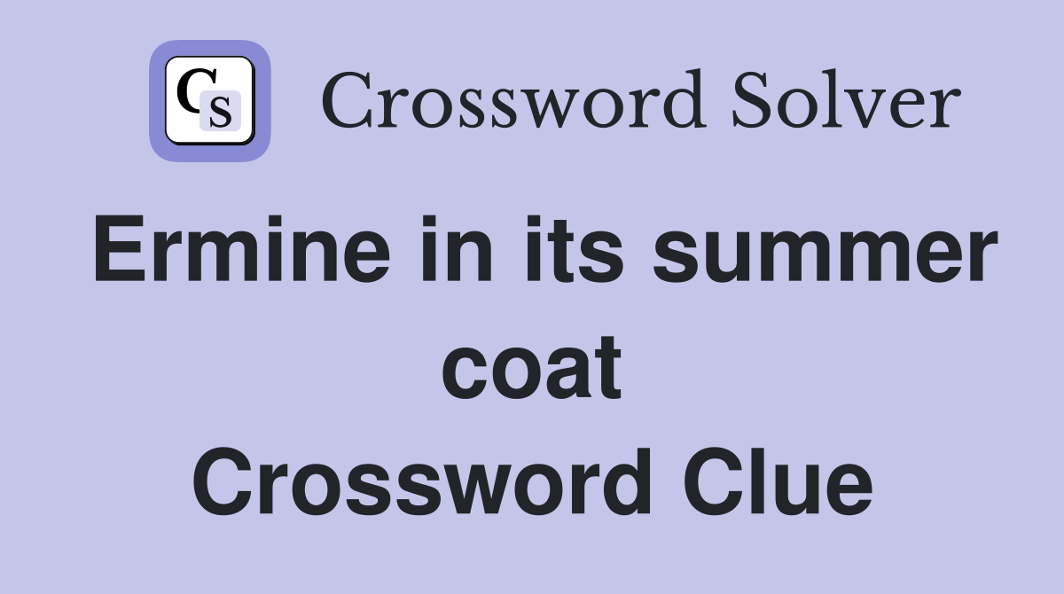 Ermine in its summer coat Crossword Clue