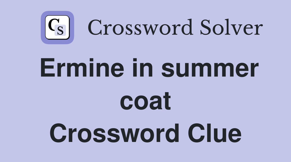 Ermine in summer coat Crossword Clue