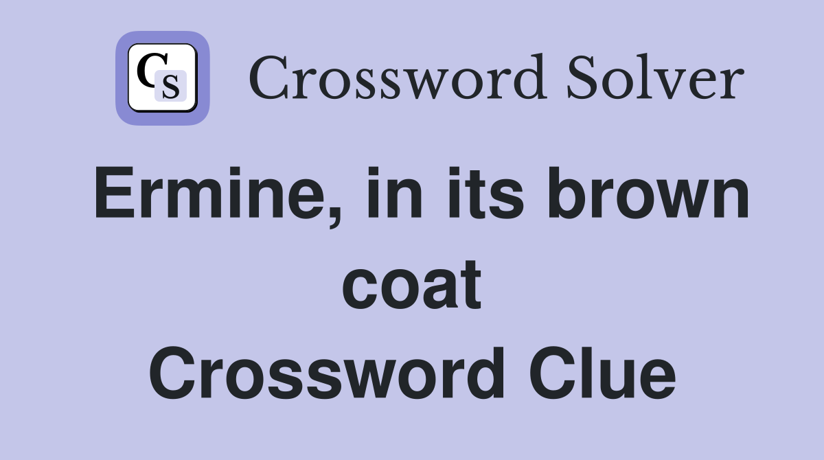 Ermine, in its brown coat Crossword Clue