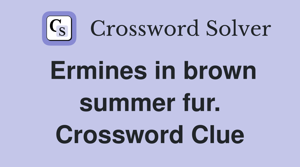 Ermines in brown summer fur. Crossword Clue