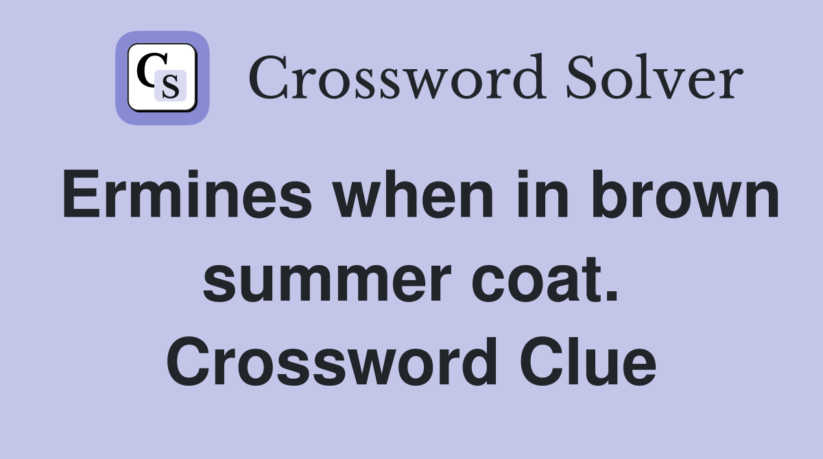 Ermines when in brown summer coat. Crossword Clue