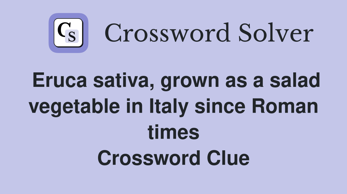 Eruca sativa, grown as a salad vegetable in Italy since Roman times Crossword Clue