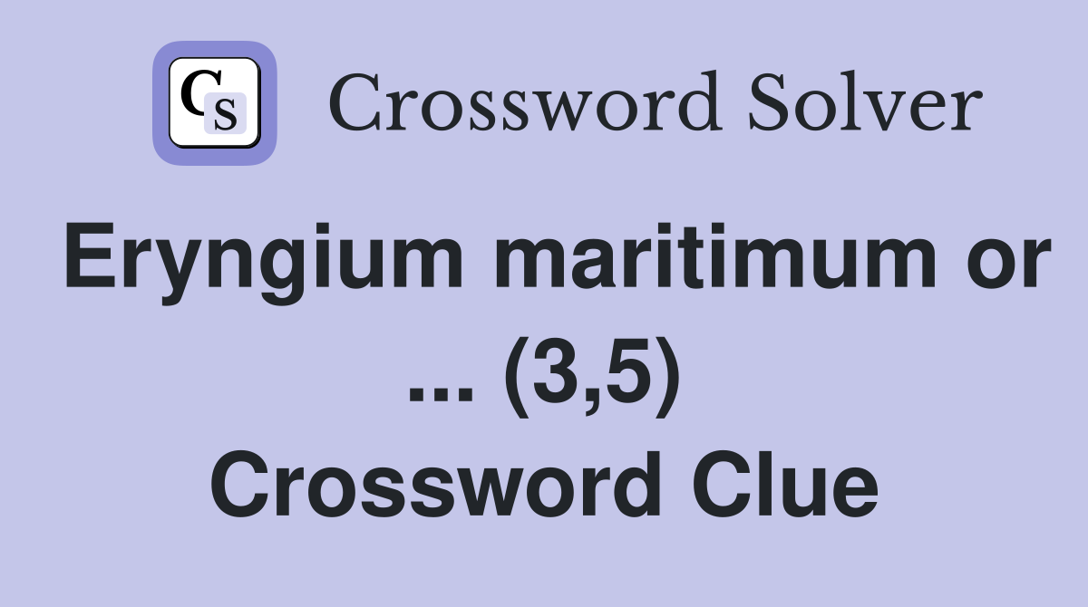 Eryngium maritimum or ... (3,5) Crossword Clue