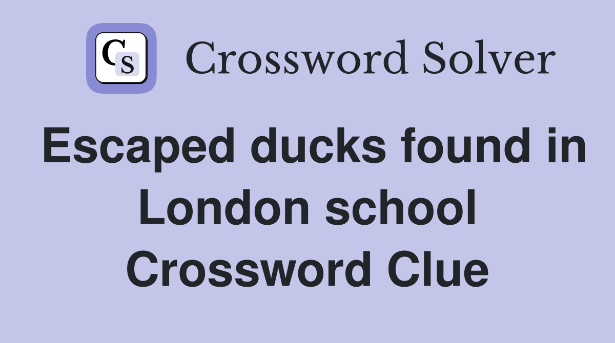 Escaped ducks found in London school Crossword Clue