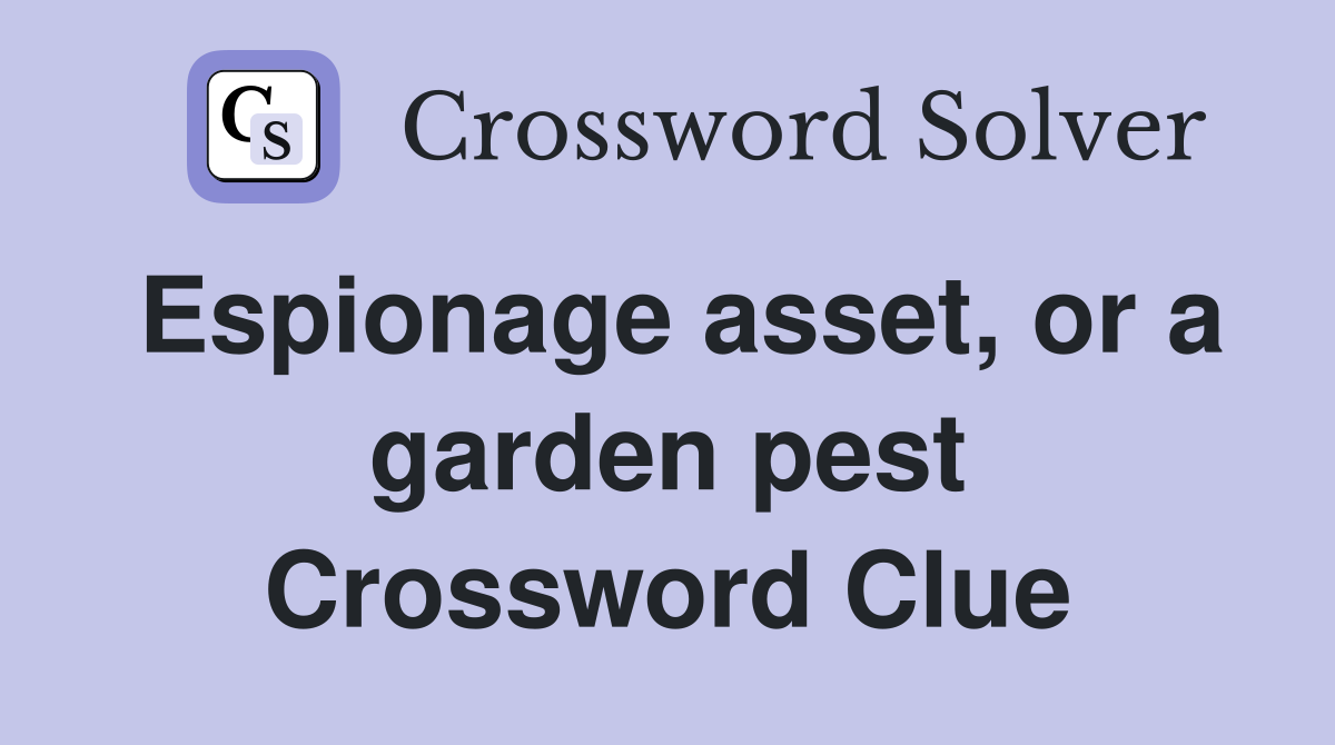 Espionage asset, or a garden pest Crossword Clue