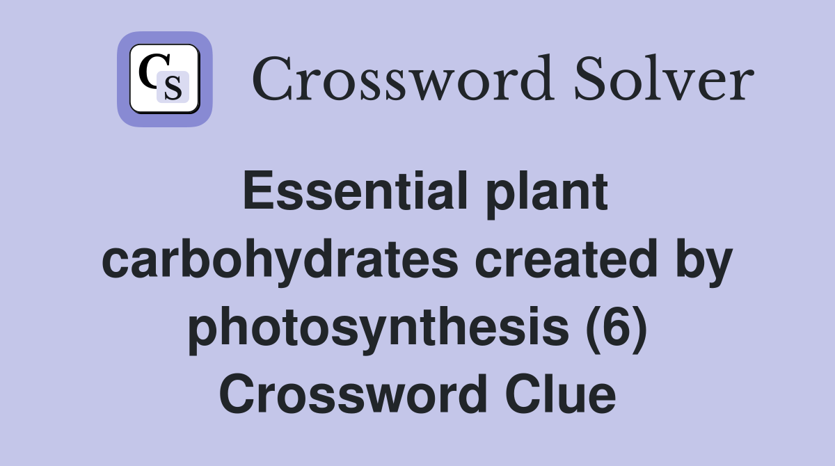 Essential plant carbohydrates created by photosynthesis (6) Crossword Clue