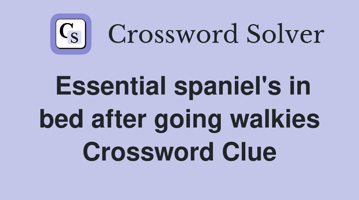 Essential spaniel's in bed after going walkies Crossword Clue