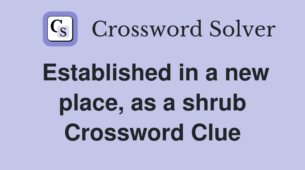 Established in a new place, as a shrub Crossword Clue