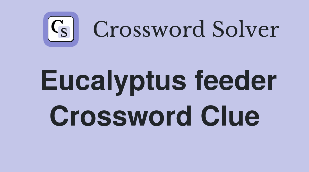 Eucalyptus feeder Crossword Clue