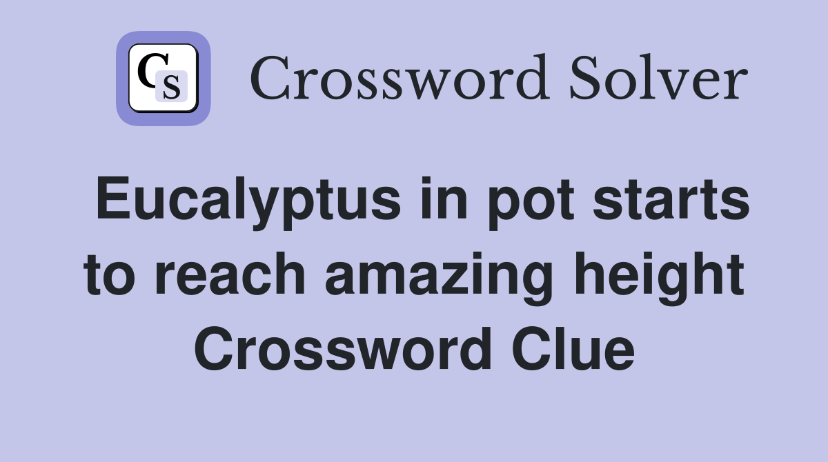 Eucalyptus in pot starts to reach amazing height Crossword Clue
