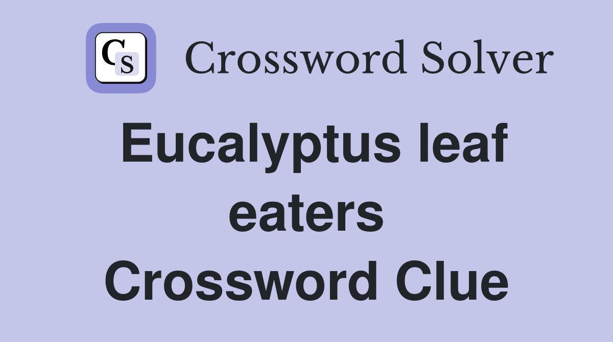 Eucalyptus leaf eaters Crossword Clue