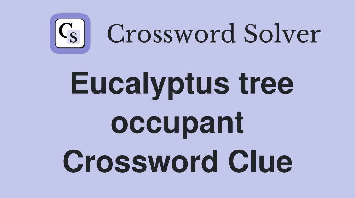 Eucalyptus tree occupant Crossword Clue