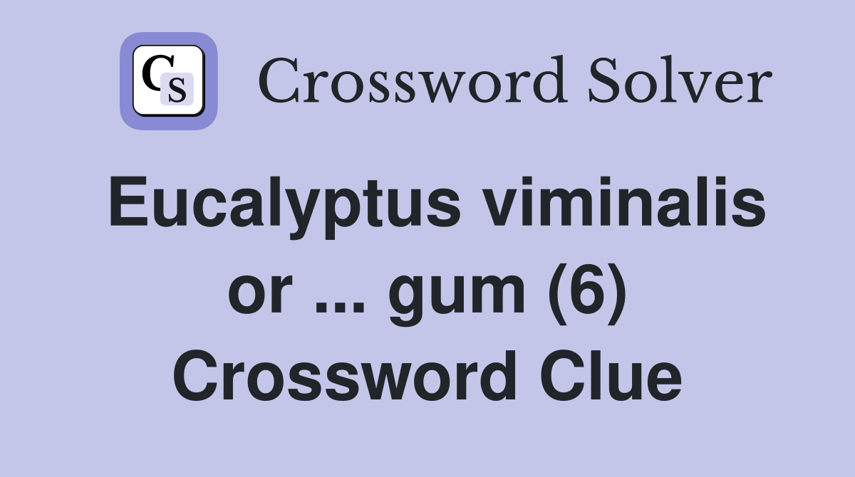 Eucalyptus viminalis or ... gum (6) Crossword Clue