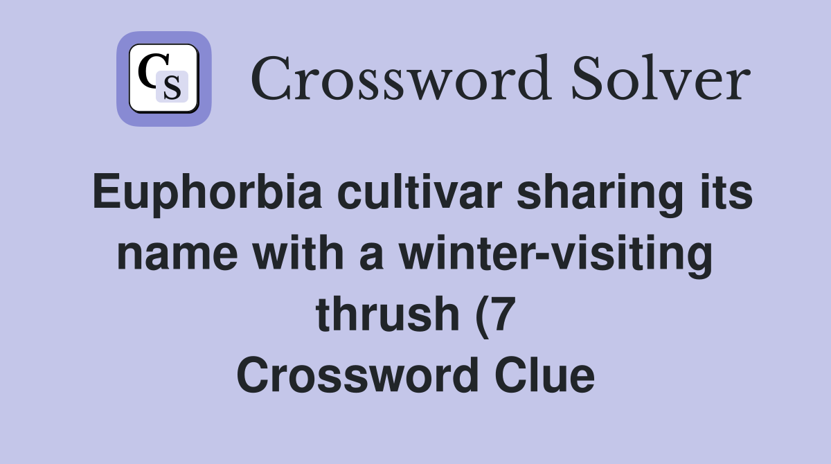 Euphorbia cultivar sharing its name with a winter visiting thrush (7 Euphorbia cultivar sharing its name with a winter visiting thrush (7