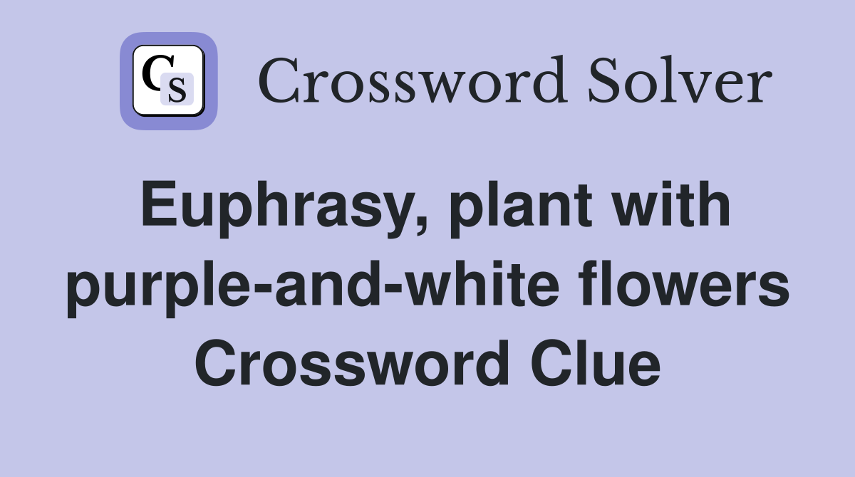 Euphrasy, plant with purple-and-white flowers Crossword Clue