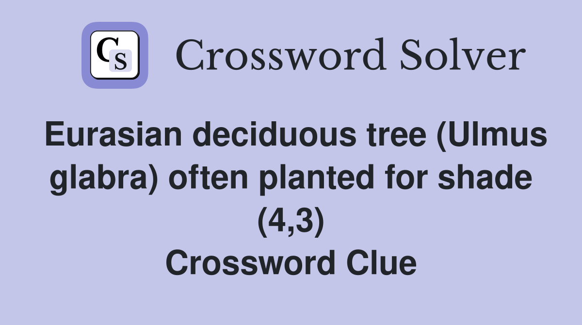 Eurasian deciduous tree (Ulmus glabra) often planted for shade (4,3) Crossword Clue