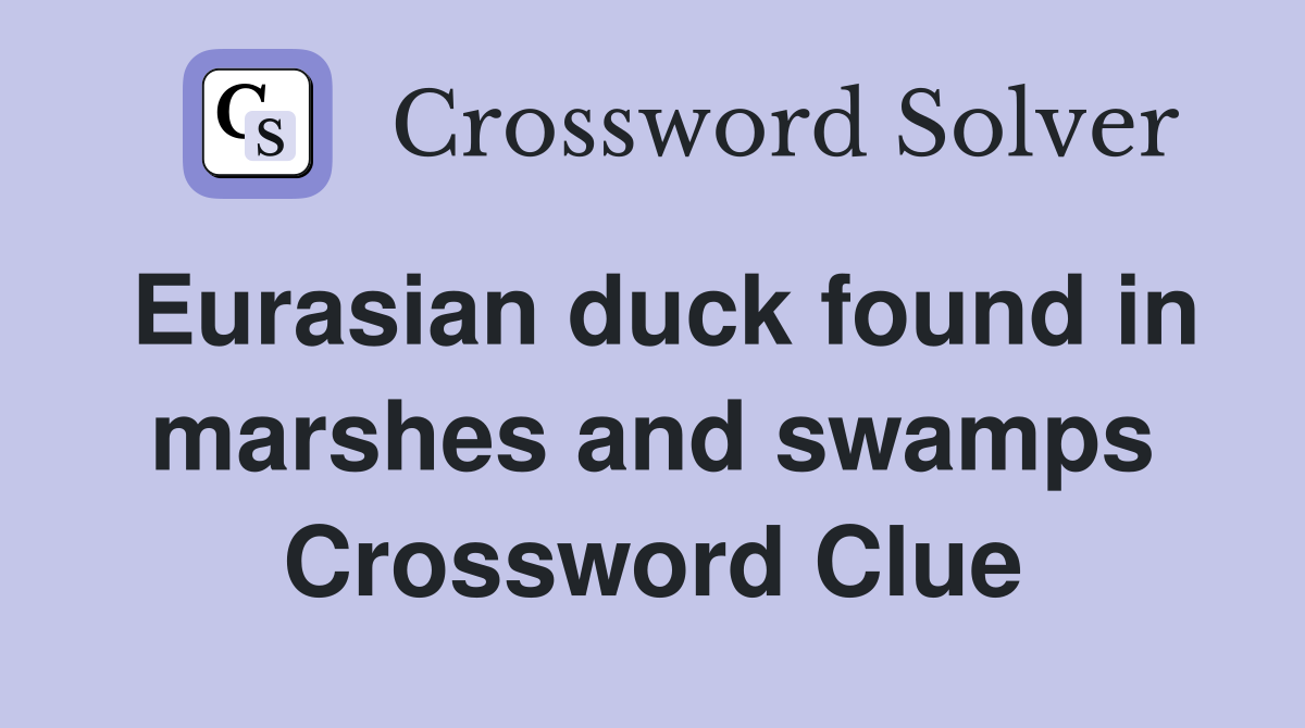 Eurasian duck found in marshes and swamps Crossword Clue