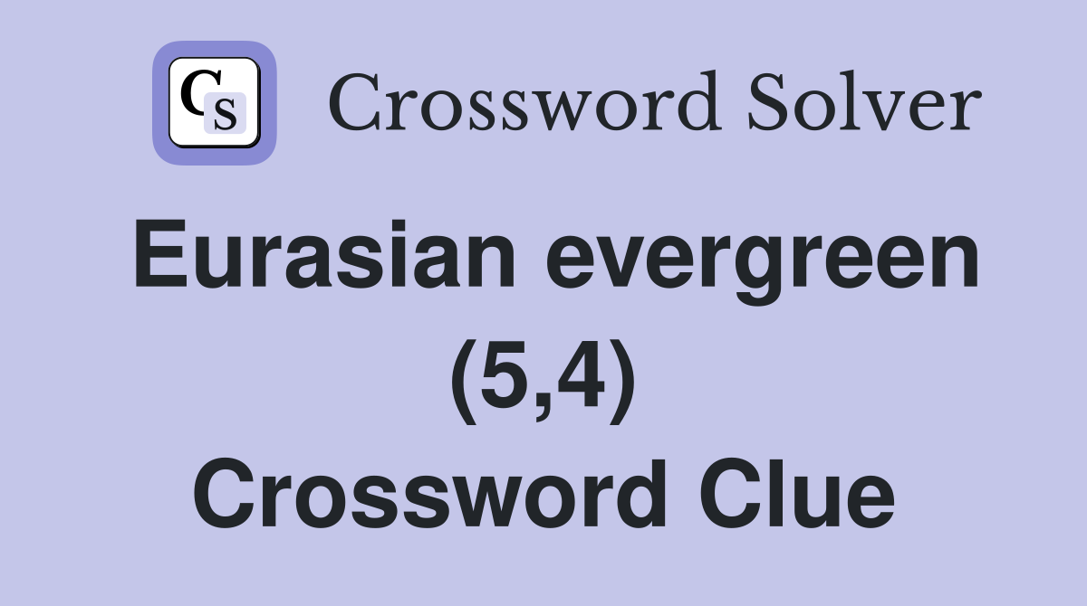 Eurasian evergreen (5,4) Crossword Clue