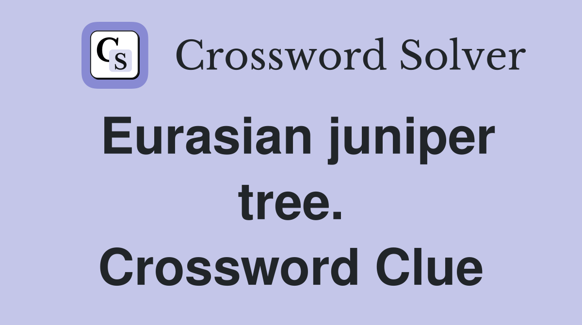 Eurasian juniper tree. Crossword Clue