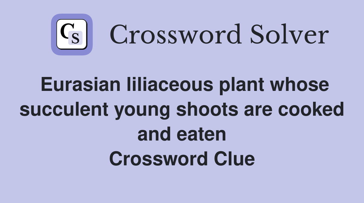 Eurasian liliaceous plant whose succulent young shoots are cooked and eaten Crossword Clue